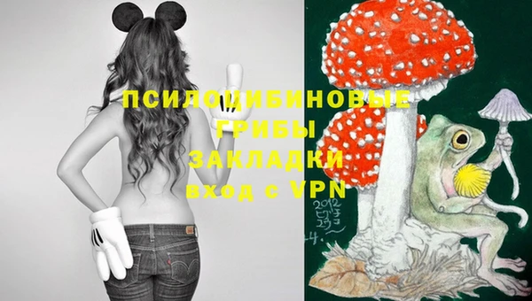 мескалин Аркадак